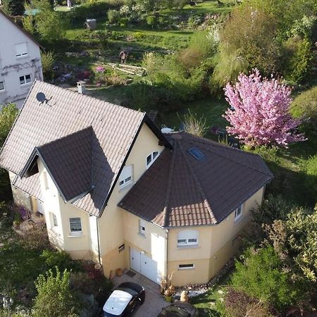 Chez Olivier Et Josette Sur Mulhouse Sud Apartment Illfurth Exterior photo